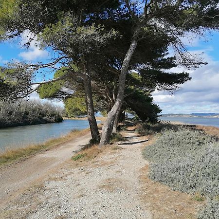 פור-א-נובל Entre Mer Et Roseaux - Piscine - Proche Centre Et Mer - Petfriendly מראה חיצוני תמונה