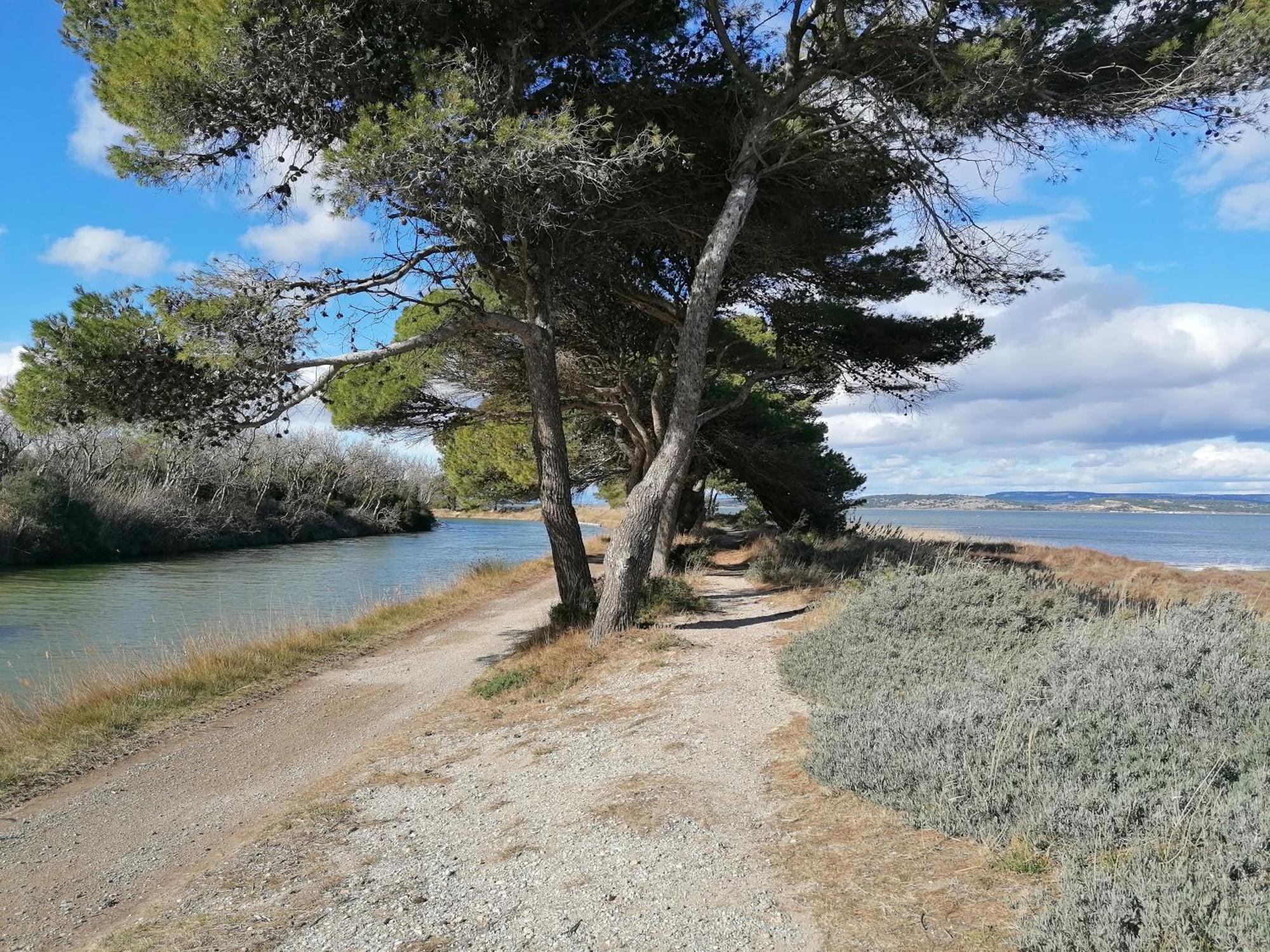 פור-א-נובל Entre Mer Et Roseaux - Piscine - Proche Centre Et Mer - Petfriendly מראה חיצוני תמונה